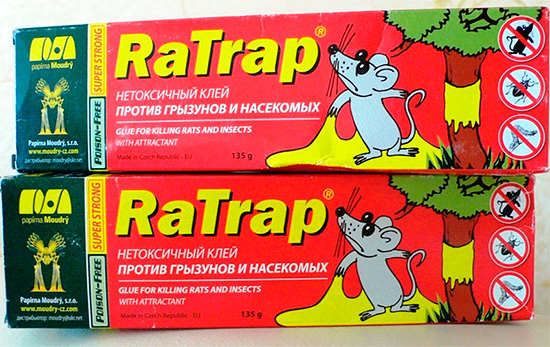 La colla RaTrap è adatta per realizzare trappole per insetti appiccicose.