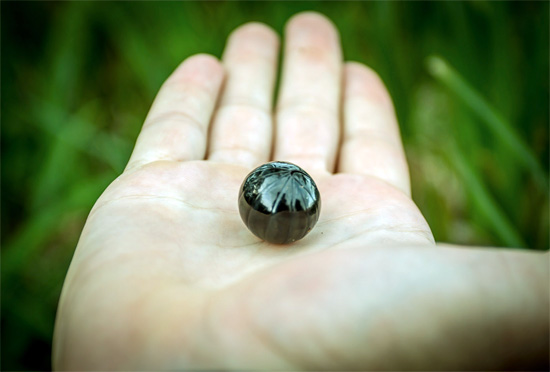 La fotografia mostra un woodlice tropicale raggomitolato su una mano in una palla.