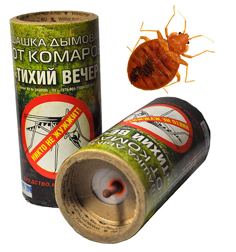 Vi tar reda på om rökbomber hjälper till att bli av med vägglöss ...