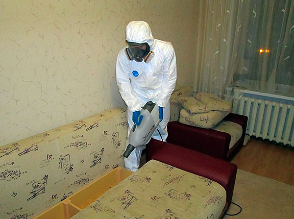 Se non è possibile far fronte da soli alle sanguisughe, puoi sempre chiamare uno speciale servizio di disinfestazione per uccidere gli insetti.