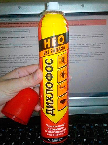 Dichlorvos Neo - a differenza del vecchio Dichlorvos sovietico, non ha un odore sgradevole.