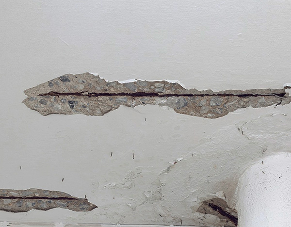 Anche le crepe nel soffitto, nelle pareti o nel pavimento possono essere un modo per far entrare i parassiti in un appartamento.