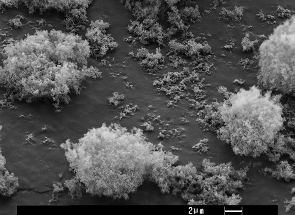 Aspetto di particelle di silice sintetica al microscopio
