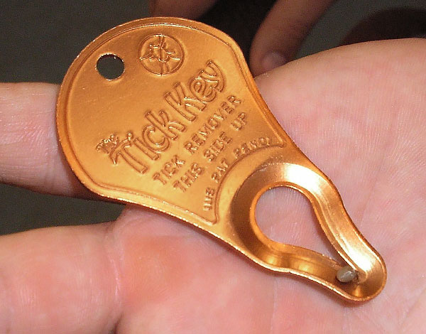 In the exciting groove of the key, a tick taken out of the wound is visible.