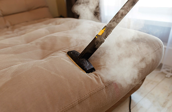 La vapeur chaude du nettoyeur à vapeur est capable de chauffer le tissu à une profondeur considérable, détruisant efficacement les acariens et leurs œufs.