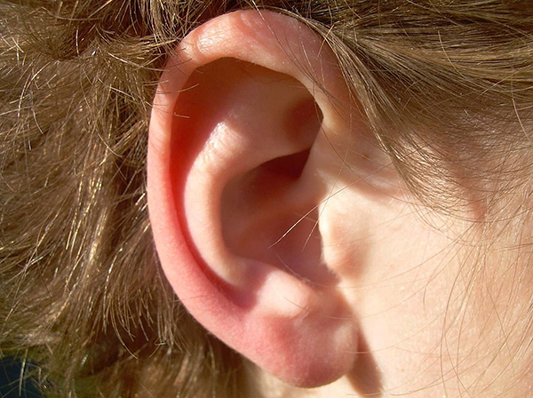 For humans, ear mites in most cases do not pose a danger.