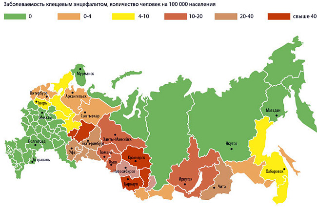 O mapa mostra a incidência de encefalite transmitida por carrapatos em diferentes regiões da Rússia.