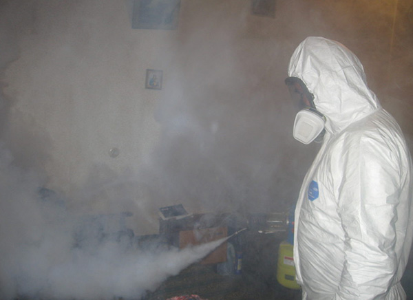 A foto mostra um exemplo de processamento de um apartamento com névoa quente.