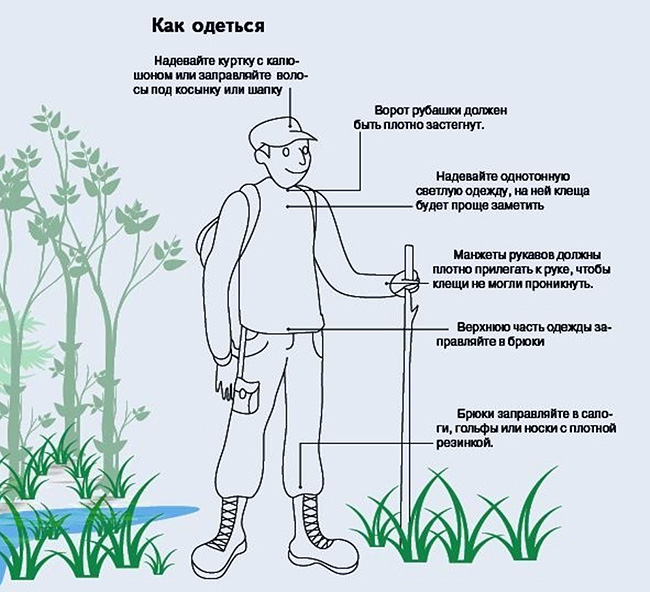 Comment s'habiller pour se protéger des tiques en forêt