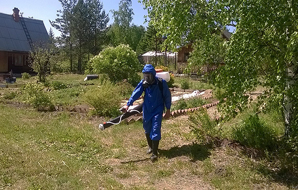 Откриваме правилата за ефективно третиране на сайта от кърлежи ...