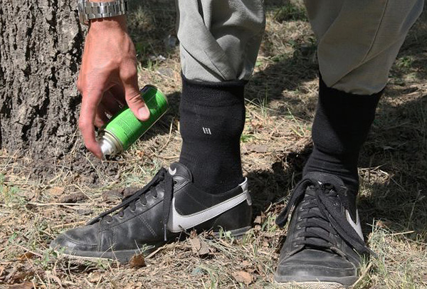 We find out which repellent is best able to protect a person from tick bites in nature ...