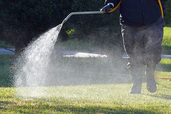 Trattamento dell'erba con un irroratore da giardino