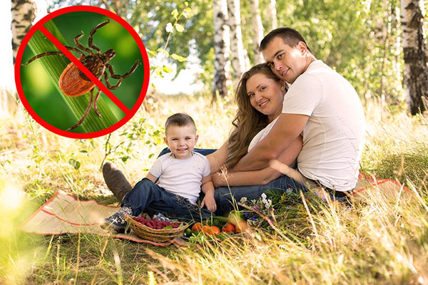 We find out whether it is advisable to take out insurance against a tick and what compensation you can count on...