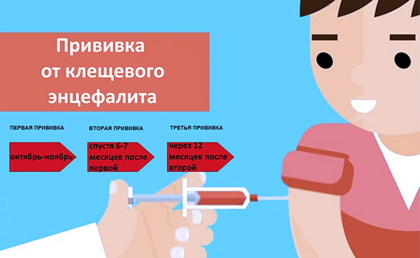 Tick-borne encephalitis vaccination