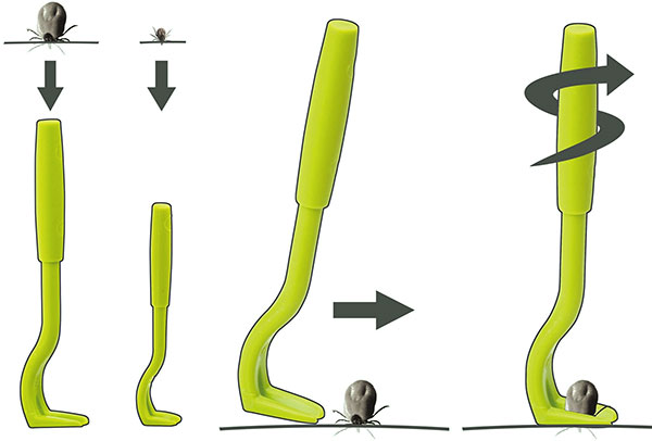 Extrator de carrapatos