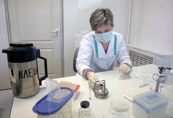 Exame de um carrapato no laboratório para encefalite