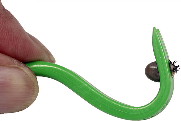 Extrator de carrapatos