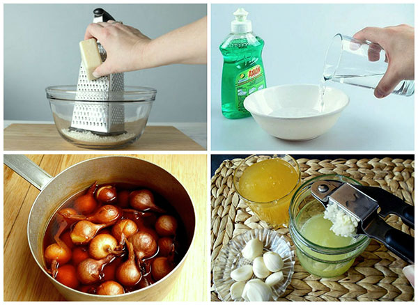 Folk remedies in the fight against ticks