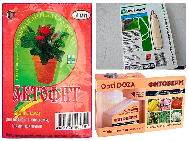 Drugs against kidney mites